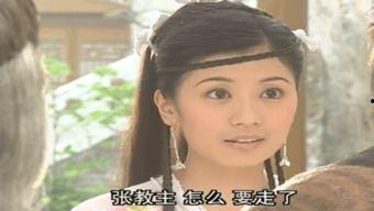 挠明星脚心综艺节目,综艺节目中的明星互动瞬间