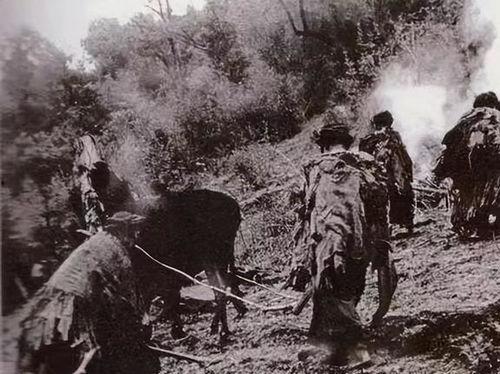 大凉山剿匪在线播放